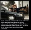 Głupia kampania !