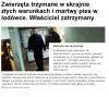 Jakim człowiekiem trzeba być ? 