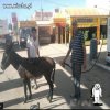 Tankowanie w krajach arabskich