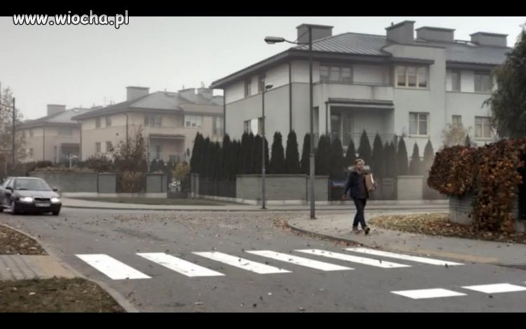 Wtargnięcie na jezdnię, czy nadmierna prędkość?