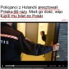 Polak w Holandii  to ...?