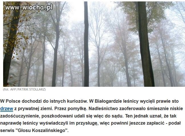 W jakim kraju my żyjemy ???