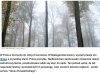W jakim kraju my żyjemy ???