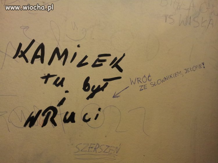 Kamilek miszcz ortografji 