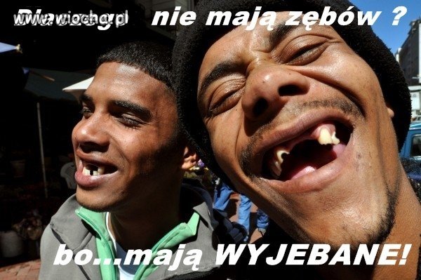 Dlaczego nie mają zębów?