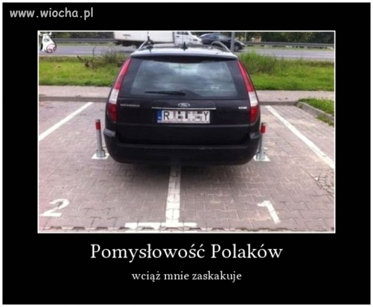 Polak potrafi