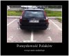 Polak potrafi