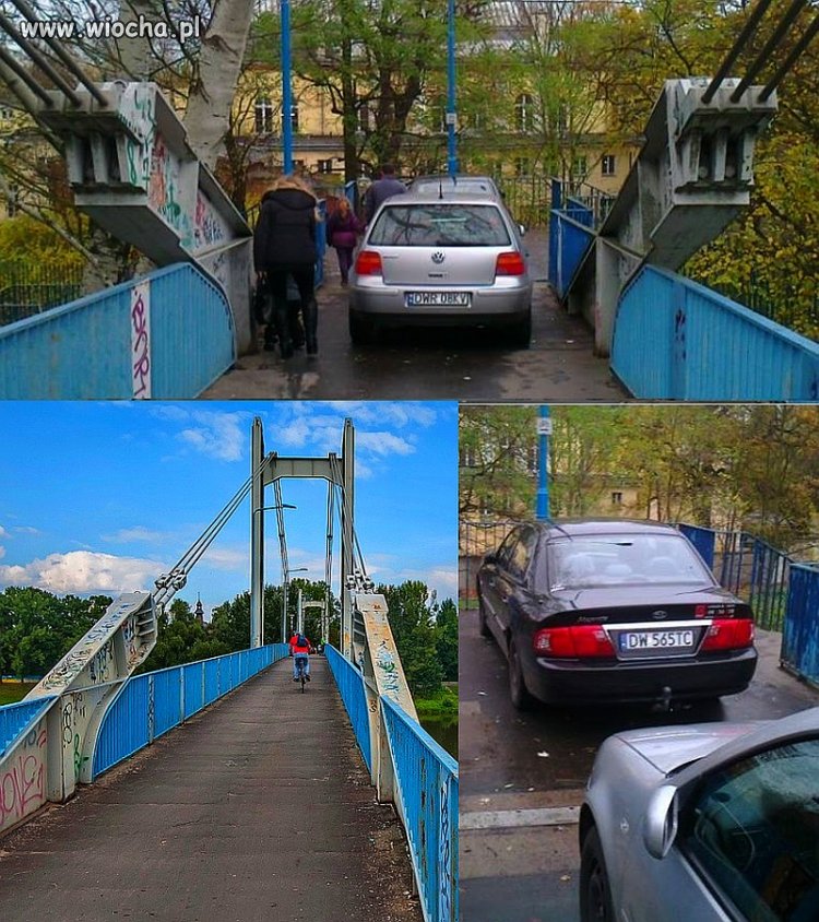 Przygłupy za kółkiem