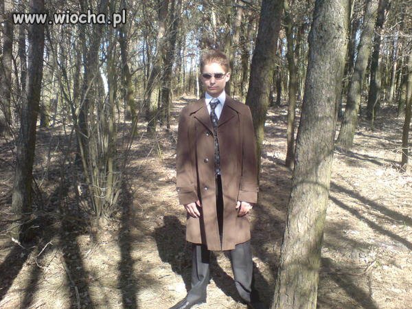 Mój jest ten kawałek...lasu?