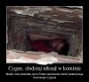 Cygan złodziej utknął