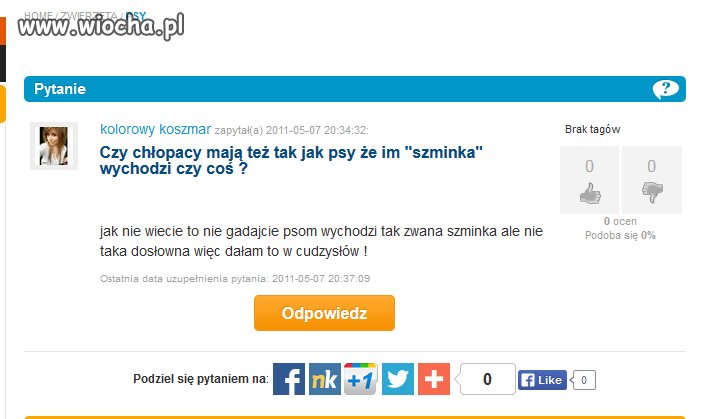 Kategoria ,,PSY' i to powalająco mądre pytanie!