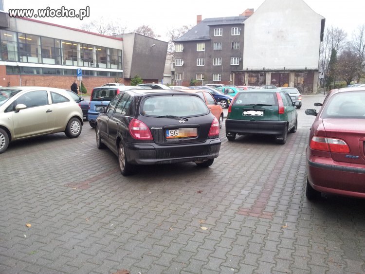 Mistrz parkowania