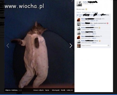 Ubrali kota w coś takiego...