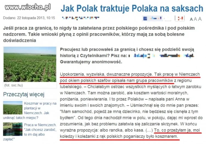 Polak - Polakowi...