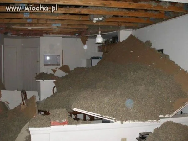 Był sobie sufit