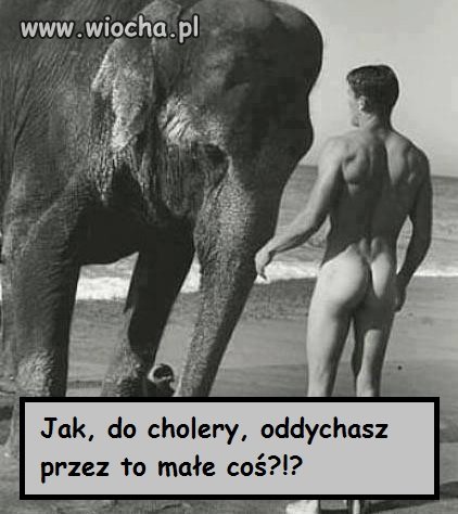 Walory anatomiczne