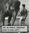 Walory anatomiczne