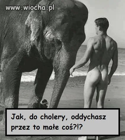Walory anatomiczne