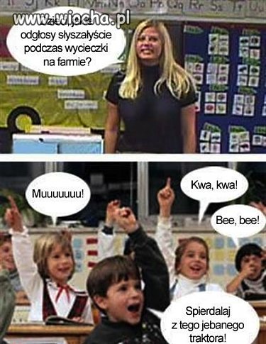 Dzisiejsza edukacja 