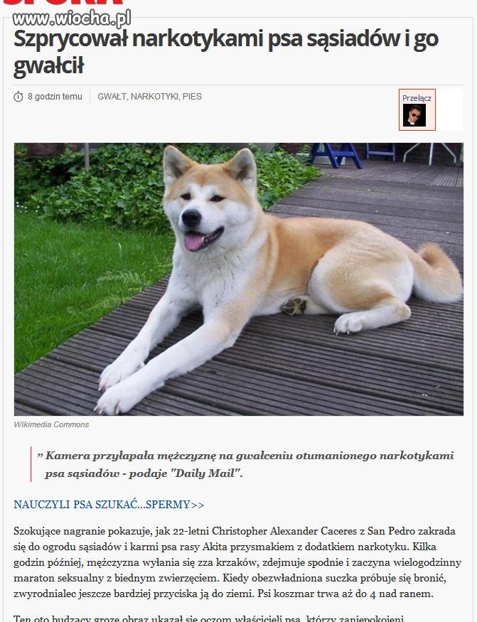 Szprycował narkotykami i gwałcił...PSA!!!