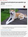 Szprycował narkotykami i gwałcił...PSA!!!
