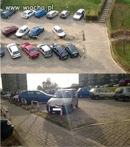 Miszcz parkowania