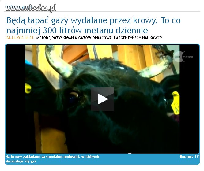 Tzw news  z doopy