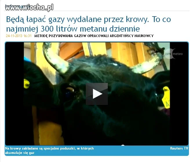Tzw news  z doopy