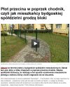 Kolejny Absurd !