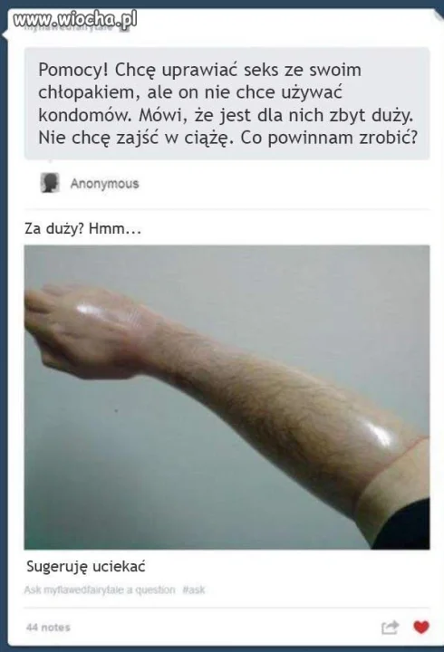 Niekiedy ucieczka to bardzo dobry pomysł