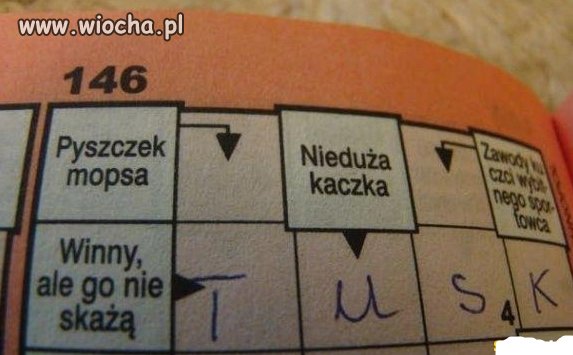 No i pasuje.