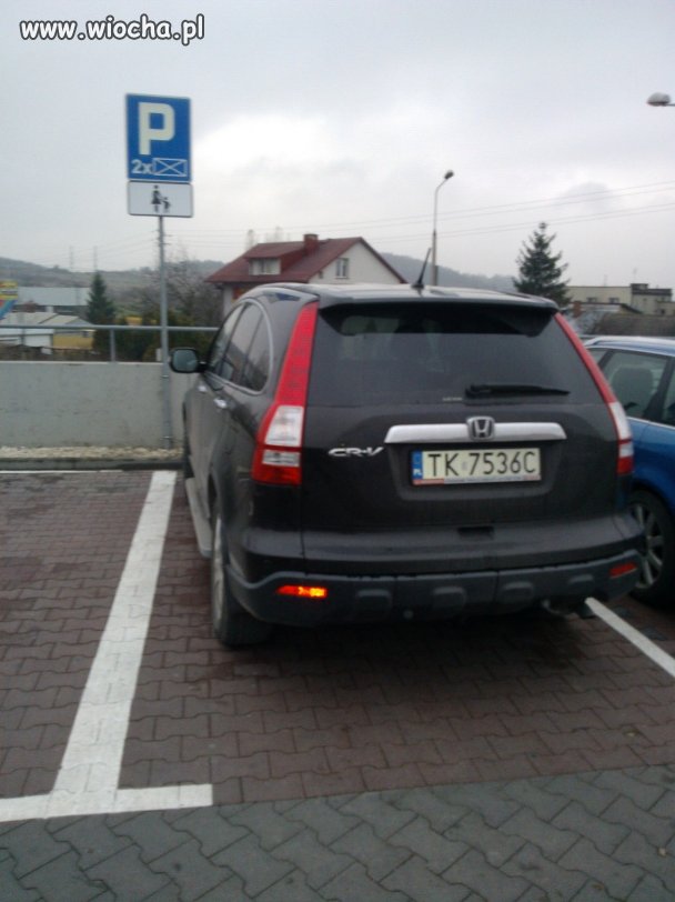 Leniwy...lepszy...bogatszy...23.11.13 Kielce Lidl