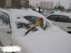A cieć do wiosny będzie swojej miotły szukał