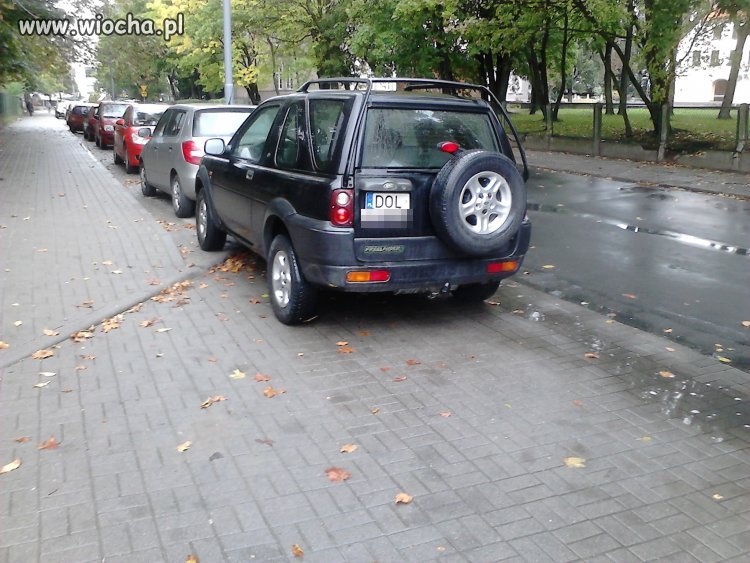 Parkowanie level Expert 