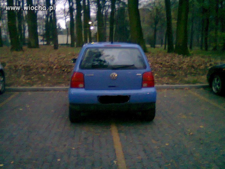 Zdaj egzamin na prawko..