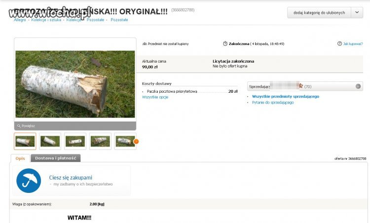 Brzoza ze Smoleńska! Oryginał!!! 