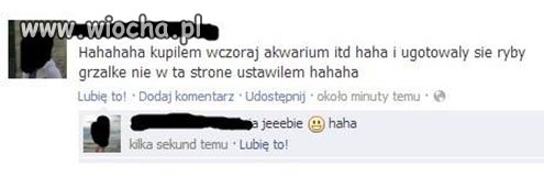 Akwarium i rybki
