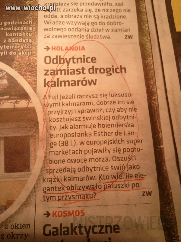 Świńskie odbyty udające kalmary.