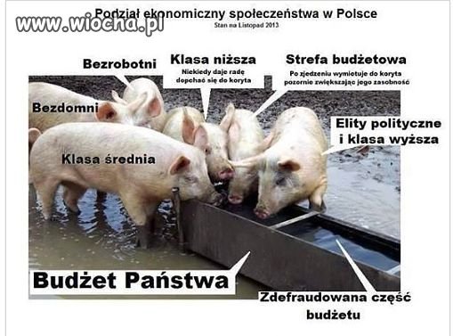 Czy to prawda