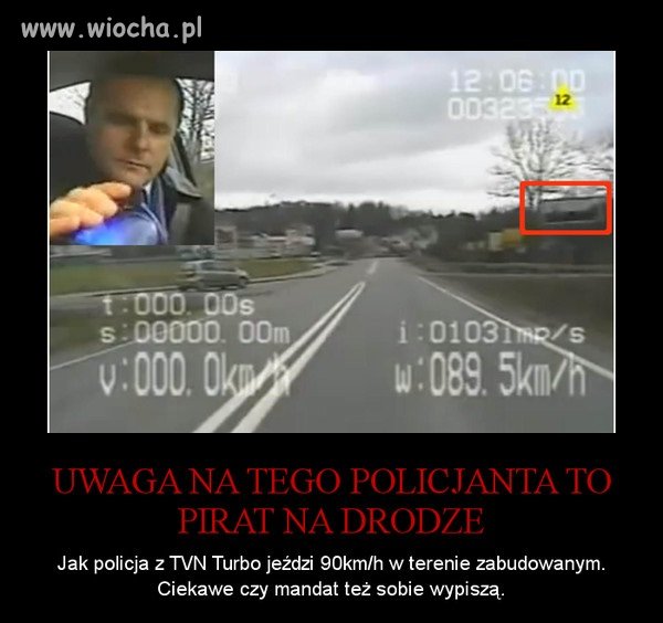 Święta krowa