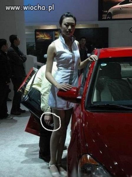 Znawca motoryzacji
