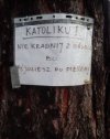 Przykre,ale takie są realia