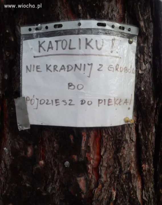 Przykre,ale takie są realia