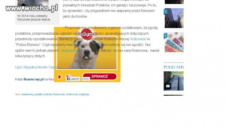 I szukaj tu krzyżyka ...