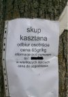 Jesienny skup kasztana,