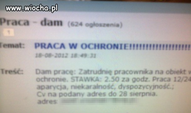 Praca w Płocku