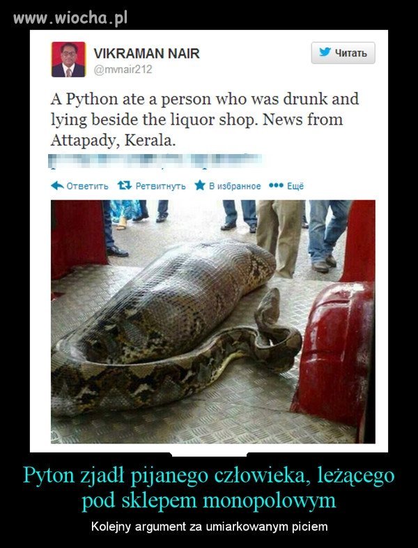 Ta wrzuta jest bez żadnych podtekstów...