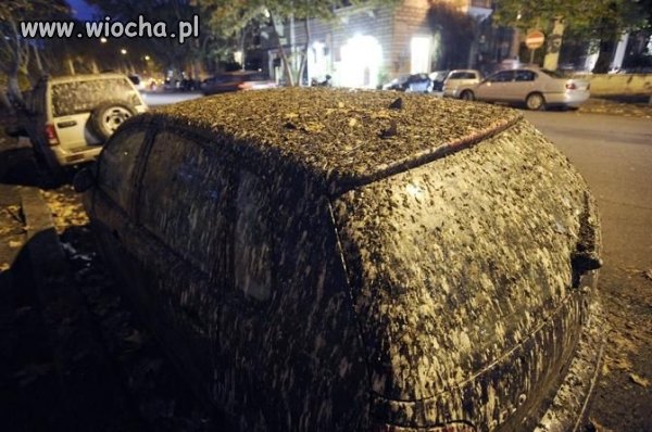 Parking strzeżony..