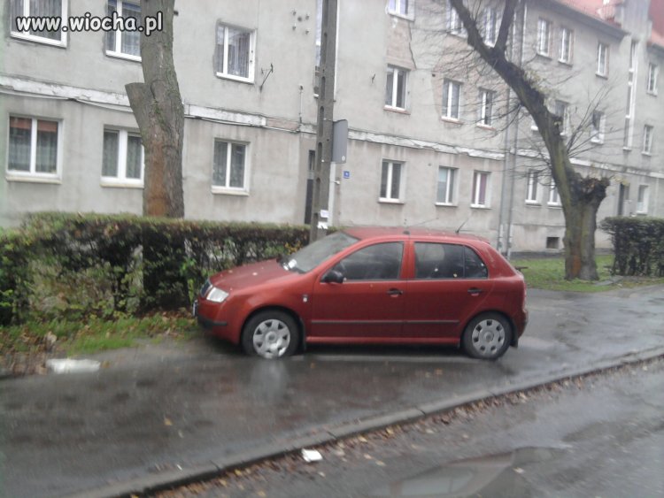 Mistrz parkowania
