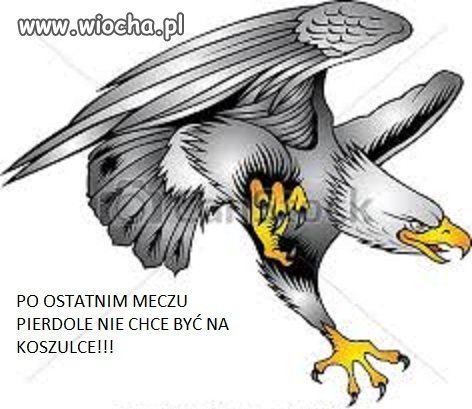 Polacy nic